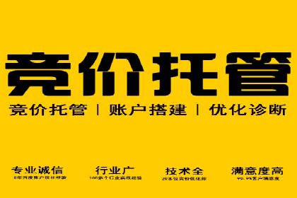 某电商平台的SEM运营托管全记录